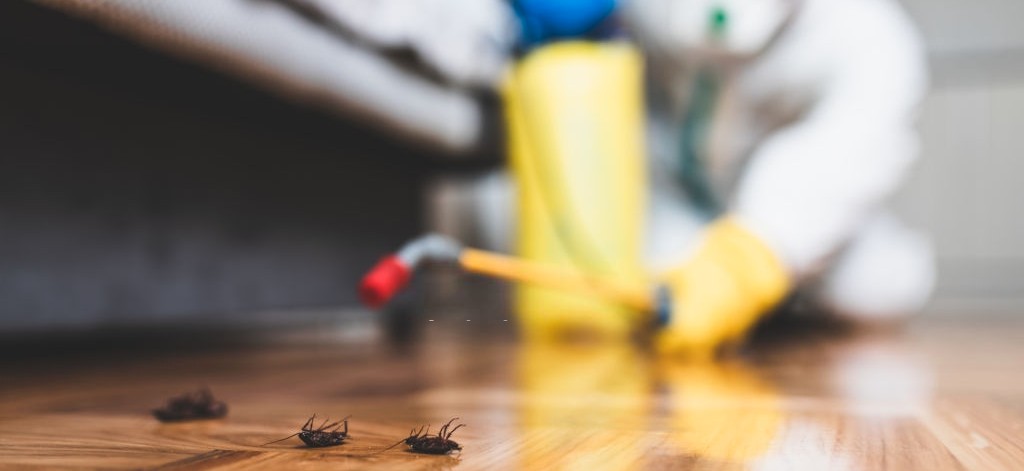 pest control services Oxford