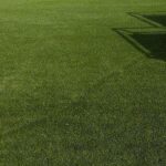 What is Artificial Grass