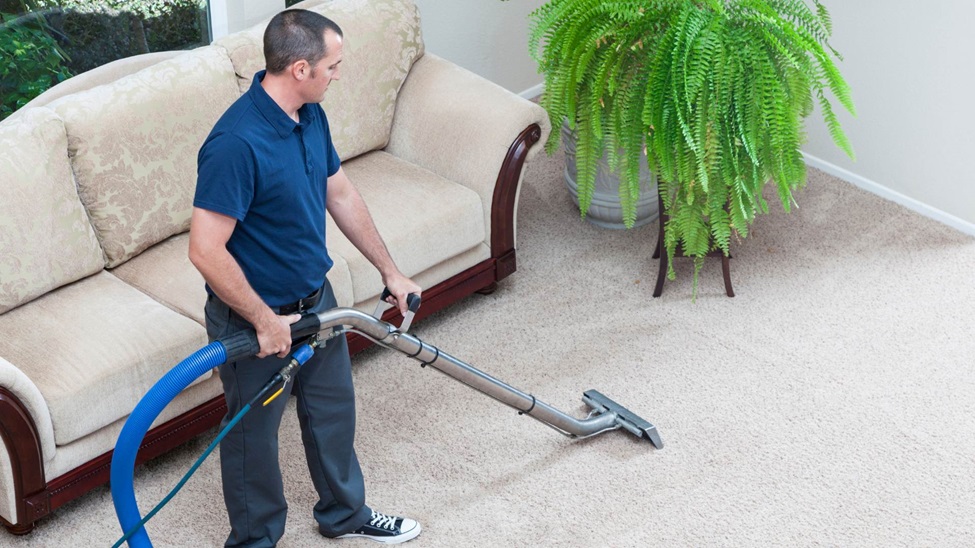 Choosing the Right Carpet Cleaning Company: What to Look For