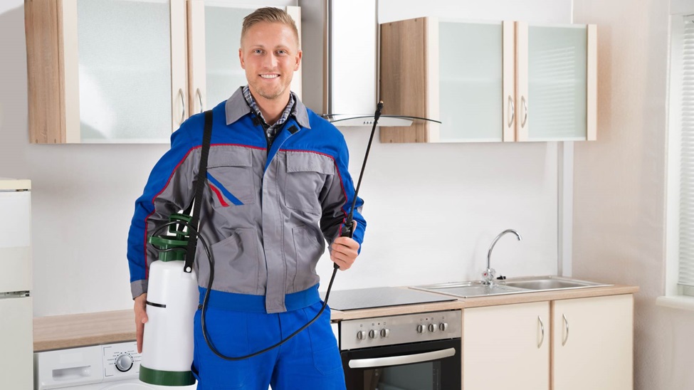 Choosing the Right Pest Removal Partner for Your Business in Phoenix: Factors to Consider