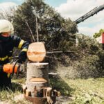 Benefits of Tree Removal